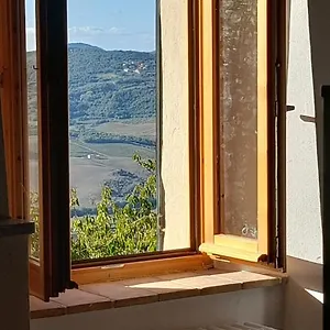 Athena Montepulciano